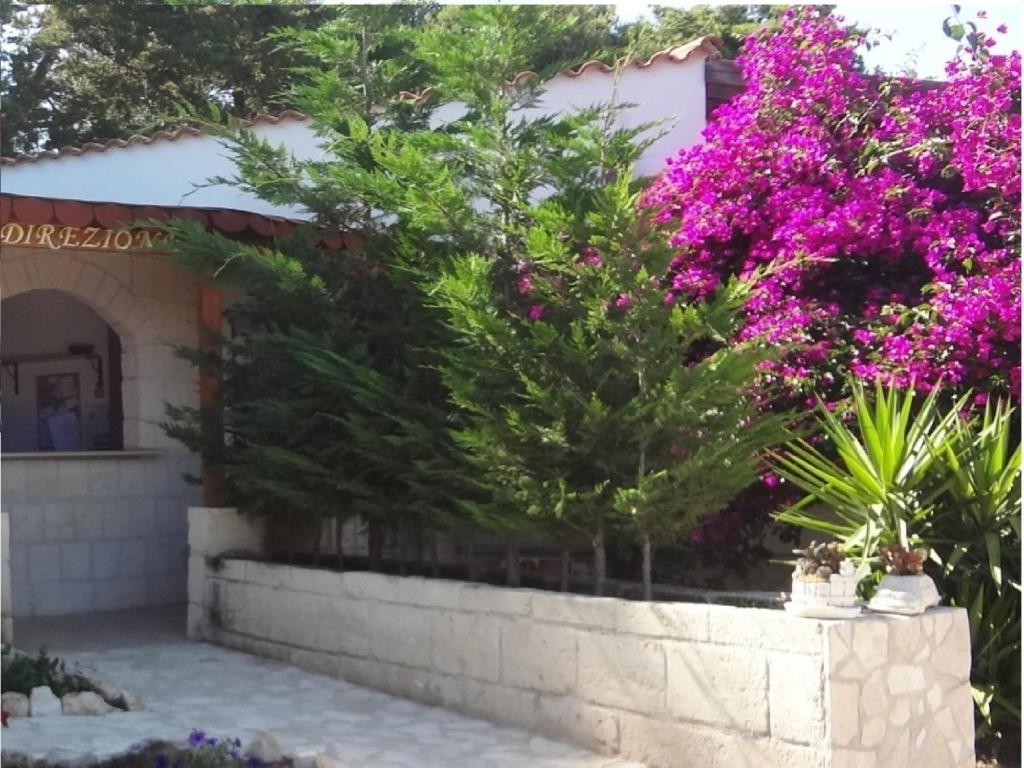 Althea Village 3* Vieste